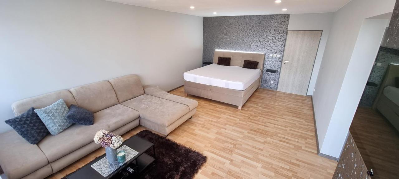 Apartman Viktorie ミクロフ エクステリア 写真